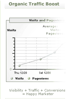 search engine optimization for increased organic traffic